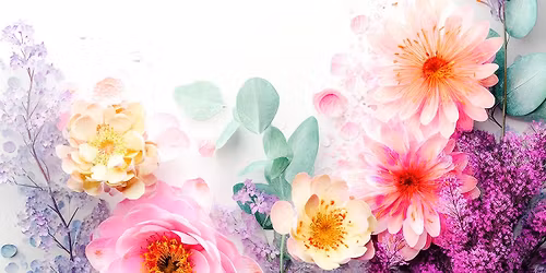 3/20（金祝昼）【あいみょん＆スピッツ・フェス】