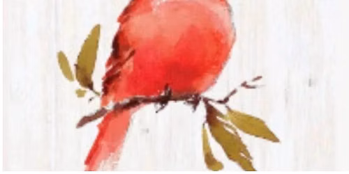 Wine & Art- Cardinal On A Branch 