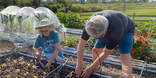 Greentown Grows Garden Work Event - Sept. 19