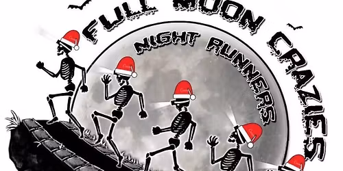 13th Annual Holiday Lights Run