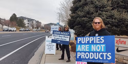 The Puppy Store Protest