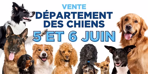 \ud83d\udc36 VENTE DU D\u00c9PARTEMENT DES CHIENS | 5-6 JUIN \ud83d\udca5