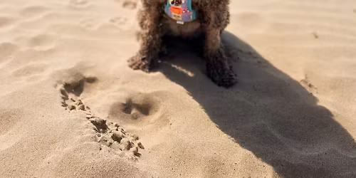 Mablethorpe Beach Walkies Ready Club