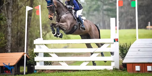 Allison Springer 3 day Clinic