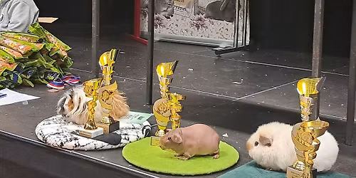 Mikul\u00e1\u0161sk\u00e1 DUO vystava mor\u010dat Mn\u00ed\u0161ek pod Brdy 