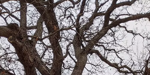 "The Verona \u2018Leper Colony\u2019: What We Know Now."