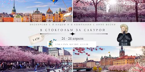 \u0412 \u0421\u0442\u043e\u043a\u0433\u043e\u043b\u044c\u043c \u0437\u0430 \u0441\u0430\u043a\u0443\u0440\u043e\u0439 \u0441 \u0419.\u041a\u0430\u0446\u0435\u043c \u0438 \u0410\u043d\u043d\u0435 \u0412\u0435\u0441\u043a\u0438