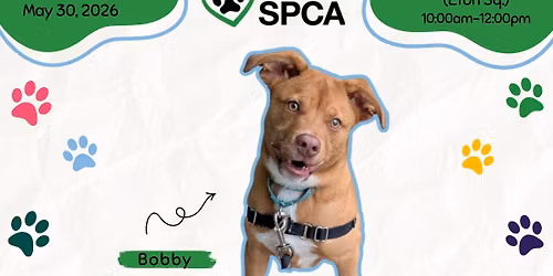 Mobile Adoption Event