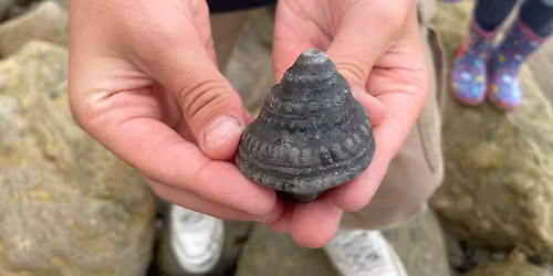 Cayton Bay - Jurassic and erratic!
