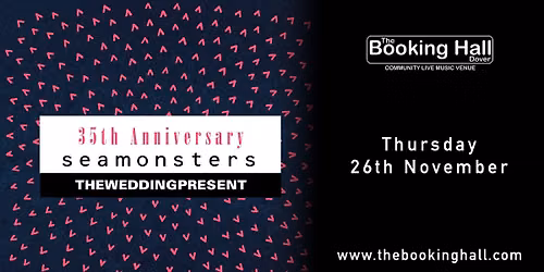 The Wedding Present, live in Dover