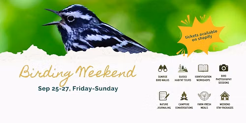 Fall Migration Birding Retreat
