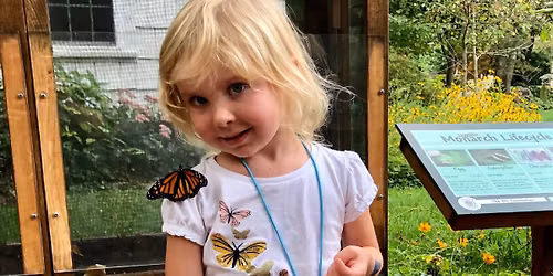 Youth Art Adventures: Magnificent Monarchs