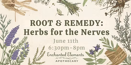 Root & Remedy: Herbs for Your Nerves