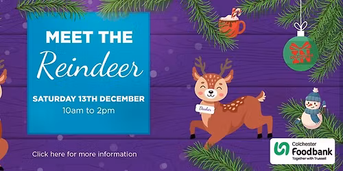 \ud83e\udd8c Meet the Reindeer \ud83e\udd8c