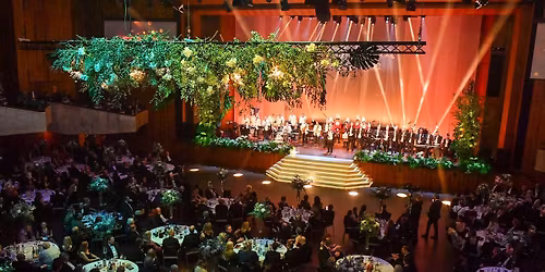 Wei\u00dfer Ball des FEUERIO  2026 