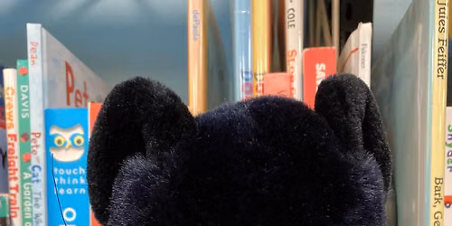 Where Is Silas The Cat?
