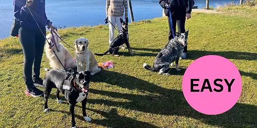 Woy Woy Weekly Foreshore Walk 8AM