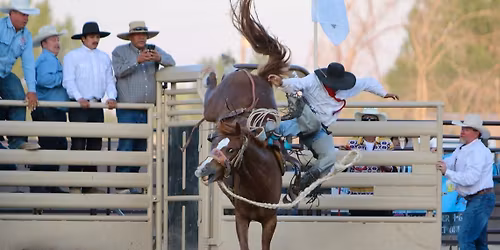 De Golyer Bucking Horse and Bull Bash