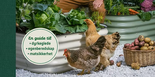 Mat p\u00e5 biblioteket: Dennis Asbj\u00f8rnsen - Litt Bonde - Selvforsynt fra egen kj\u00f8kkenhage 