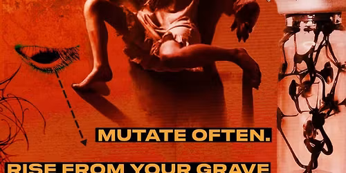 Calling All Creatures