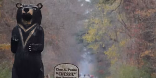 Tidewater Strider Dismal Swamp 50K\/Marathon\/Half Marathon & 50K Relay