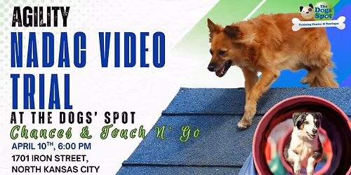 NADAC Video Trial - Chances and Touch N' Go