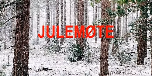 Norsk jul i Amerika og amerikansk jul i Norge\/EVY & JAN deltar med julesanger