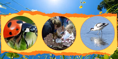 FREE Summer Wildlife Discovery Day