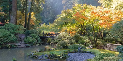 Parking A Beautiful Noise - Portland