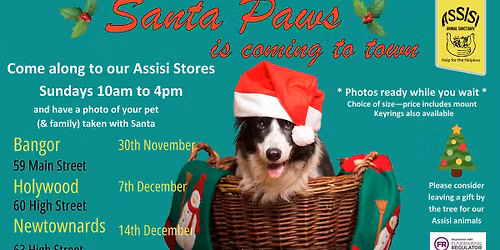 Santa Paws - Newtownards