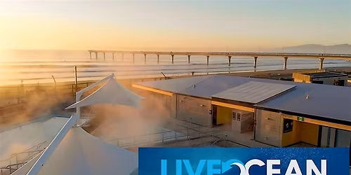 Adviser Event: Christchurch Mid Winter dip for Live Ocean