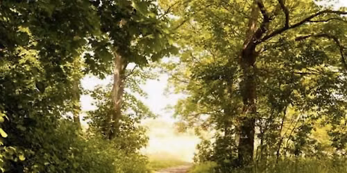 The Journey Back To YOU