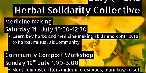 Herbal Solidarity Collective \u2013 Community Herbalism and Gardening Gatherings