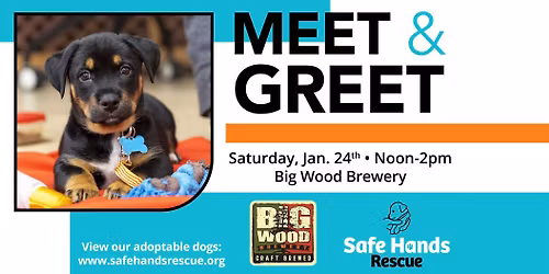 Safe Hands Rescue Meet & Greet at Big Wood Brewery