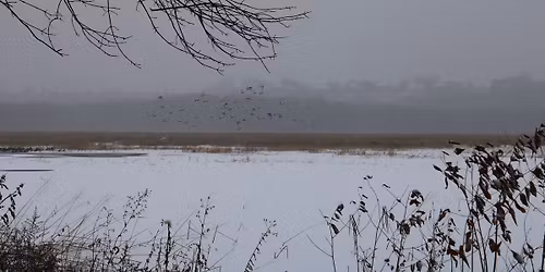 Intro to Hiking: Wilkie