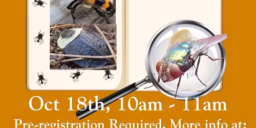 10.18.25 - Forensic Entomology w/ Blake Dinus at Soule Homestead