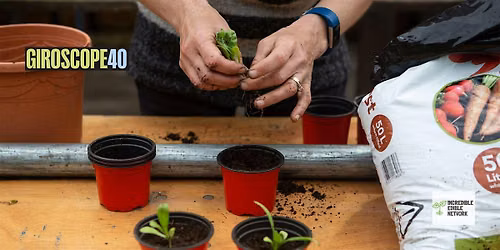 Giroscope 40: Lunch Plus with Pam Warhurst of Incredible Edible