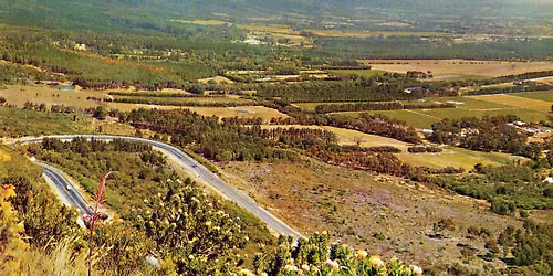 Brandy Recognition - A Heritage Walking Tour Through Constantia