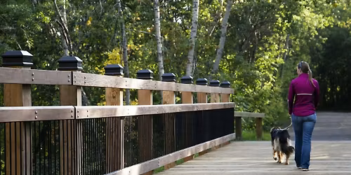 Offline Collective: Ritchie Neighbourhood Walk + Mill Creek Ravine