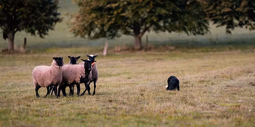 Semin\u00e1\u0159 CS - Beate Behr