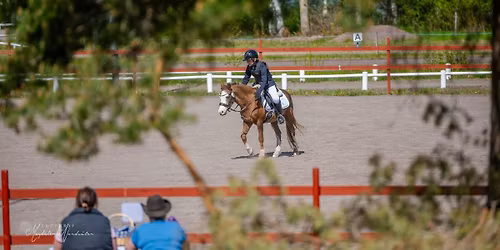 Programridning Dressyr, WE och T\u00f6mk\u00f6rning