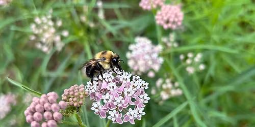 Spring Plant Sale 2026