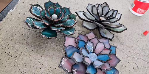 Succulent Workshop 