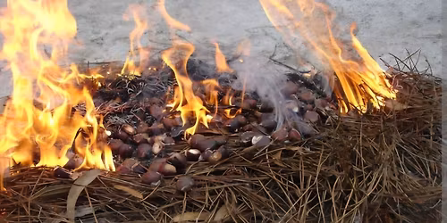 F\u00eate de la ch\u00e2taigne \u00e0 la portugaise