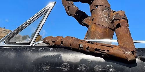 Opening of Confluence Gallery show: "Backyard Wilderness"