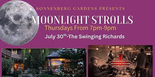 Moonlight Strolls- The Swinging Richards