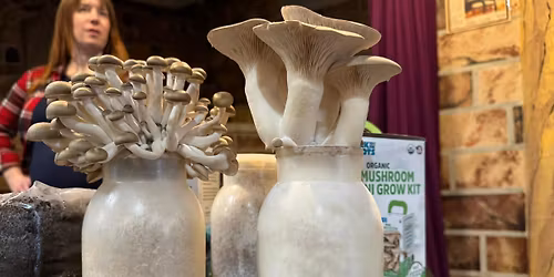 Myopia Gourmet Mushrooms, Inc Returns to Sandcastles!