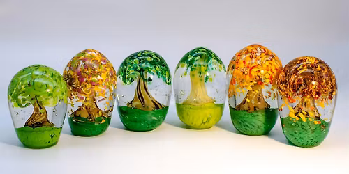 Spring sprouts on trees branches turning into colorful canopies!