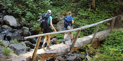 Olympic Peninsula Field Trip: Ethnobotany Immersion Course Month 5