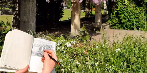 DRAWING & PAINTING: Botanical Art